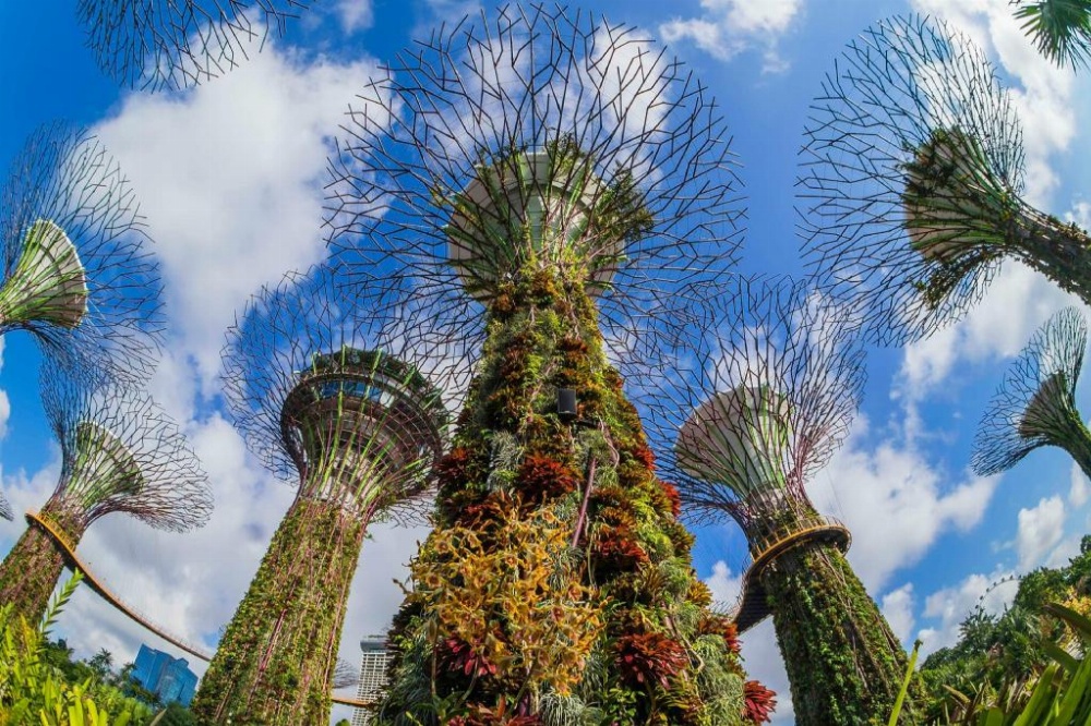 Grand Executive Suite